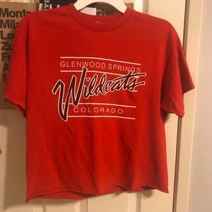 Brandy Melville Wildcats Aleena top